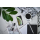APPLE iPhone Xs 256GB srebrny - 448429 - zdjęcie 6